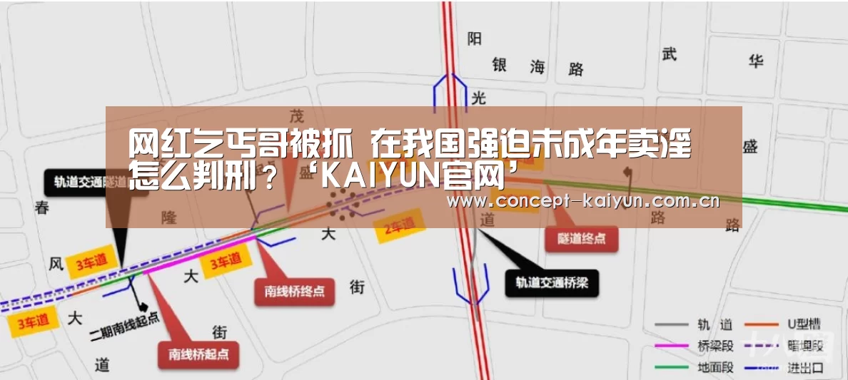 网红乞丐哥被抓 在我国强迫未成年卖淫怎么判刑?‘KAIYUN官网’(图1) 开云体育官方入口