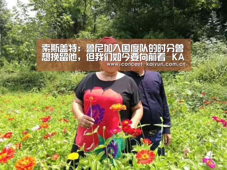 开云体育官方入口