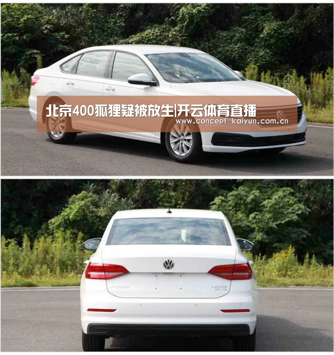 北京400狐狸疑被放生|开云体育直播(图1) KAIYUN官网