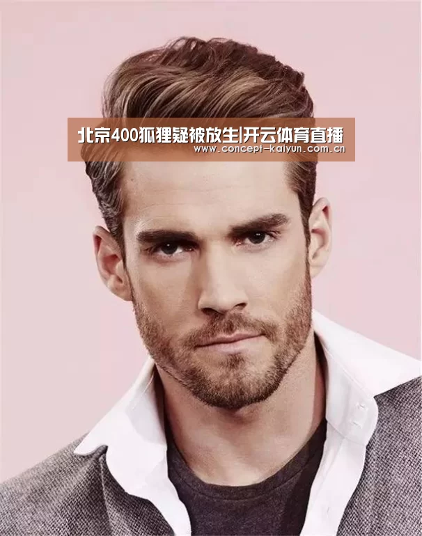 北京400狐狸疑被放生|开云体育直播(图2) KAIYUN官网