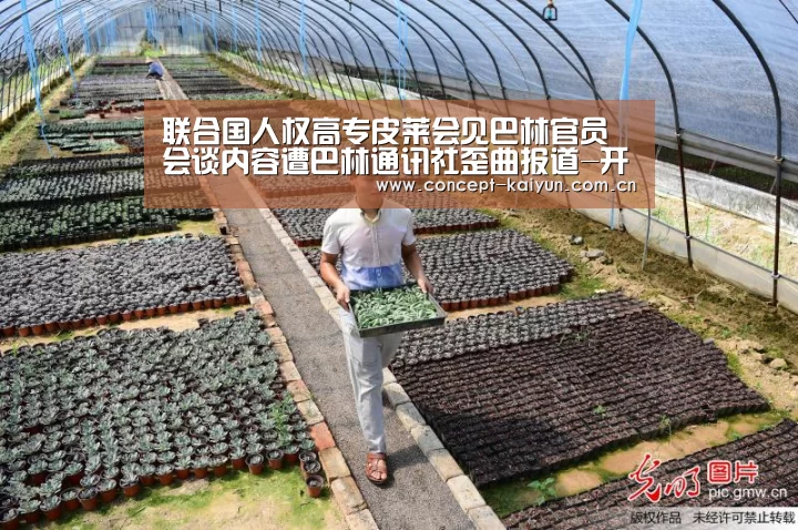 联合国人权高专皮莱会见巴林官员 会谈内容遭巴林通讯社歪曲报道-开云体育直播(图1) KAIYUN官网