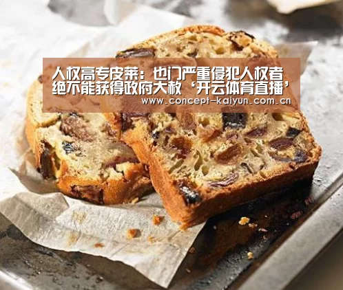 人权高专皮莱:也门严重侵犯人权者绝不能获得政府大赦‘开云体育直播’(图1) 开云体育官方入口