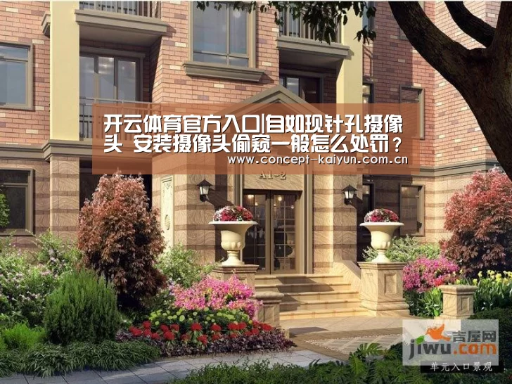 开云体育直播