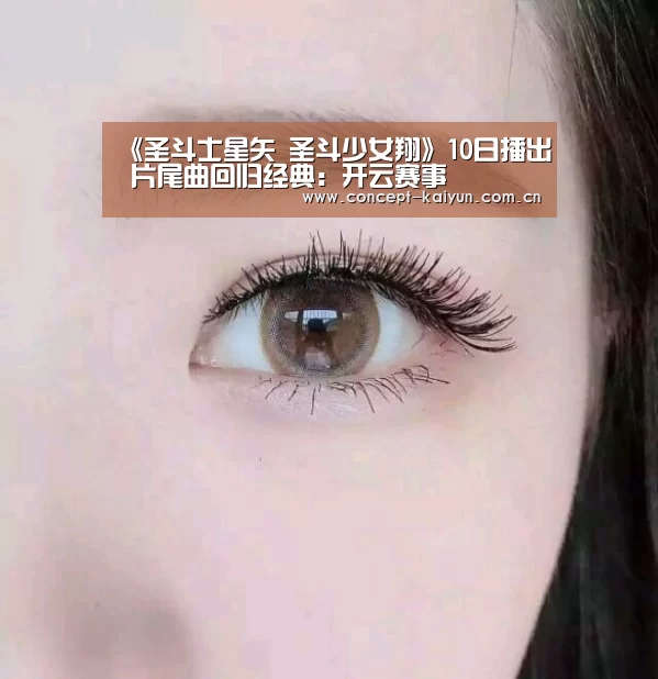 开云体育直播