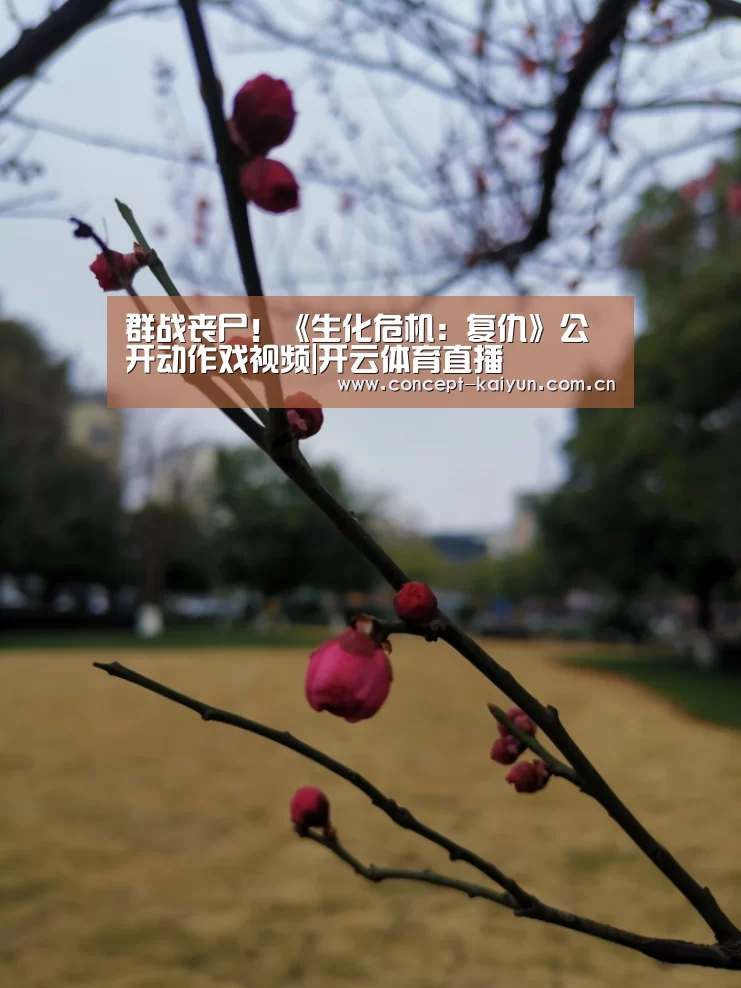 开云赛事