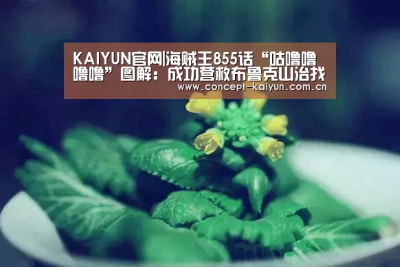 开云体育直播
