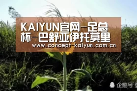 KAIYUN官网-足总杯-巴舒亚伊托莫里破门 切尔西2-1赫尔城晋级(图1) 开云赛事