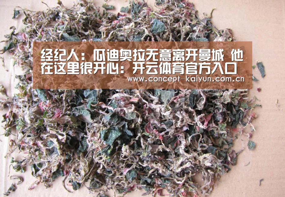 经纪人:瓜迪奥拉无意离开曼城 他在这里很开心:开云体育官方入口(图2) 开云赛事