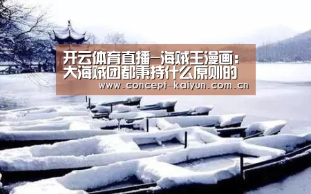 开云体育直播-海贼王漫画:大海贼团都秉持什么原则的队魂(图1) 开云体育直播