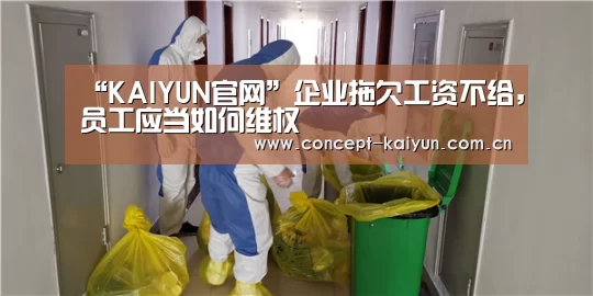 “KAIYUN官网”企业拖欠工资不给,员工应当如何维权(图3) 开云体育官方入口