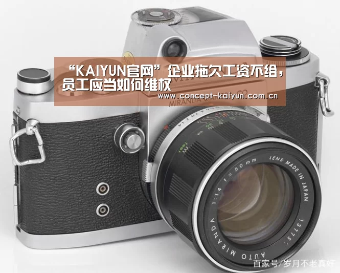 “KAIYUN官网”企业拖欠工资不给,员工应当如何维权(图2) KAIYUN官网
