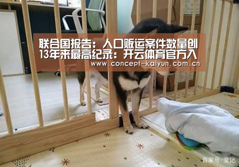 联合国报告: 人口贩运案件数量创13年来最高纪录:开云体育官方入口(图1) 开云赛事