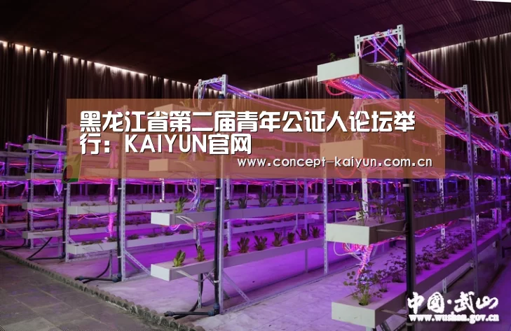 黑龙江省第二届青年公证人论坛举行:KAIYUN官网(图1) KAIYUN官网