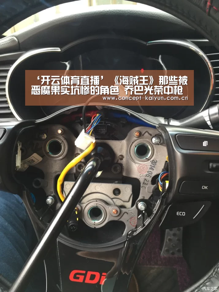 开云体育直播