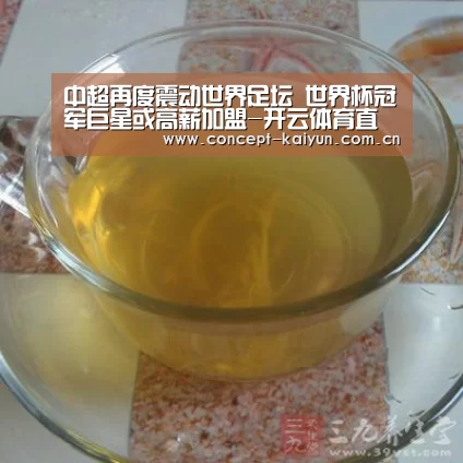 中超再度震动世界足坛 世界杯冠军巨星或高薪加盟-开云体育直播(图4) 开云体育直播