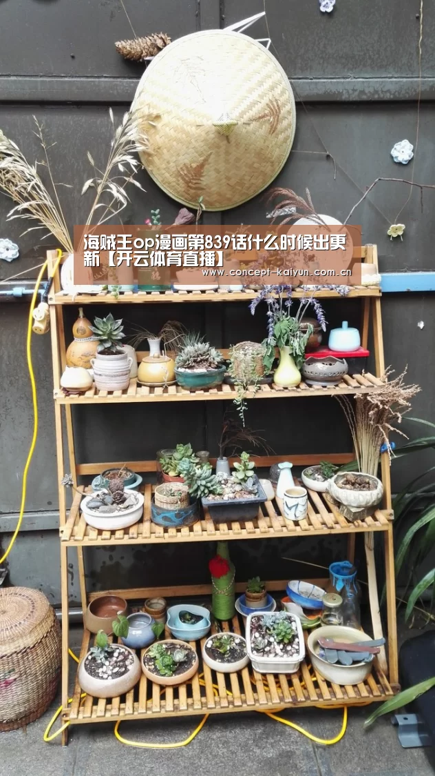 海贼王op漫画第839话什么时候出更新【开云体育直播】(图2) 开云体育官方入口